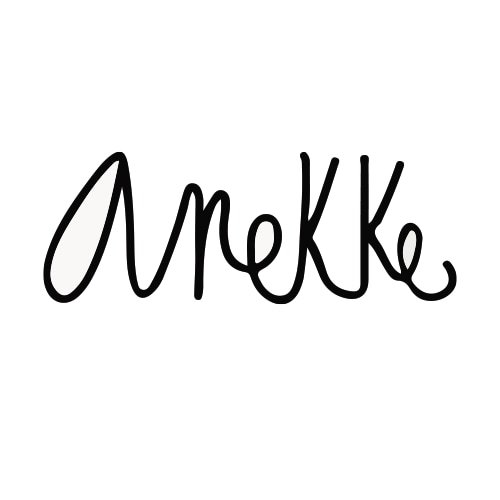 LOGO ANEKKE